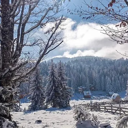 Tatil Evi Koliba Liska *