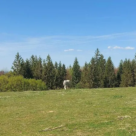 Tatil Evi Koliba Liska Sekulic