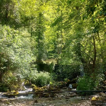 Tatil Evi Koliba Liska *